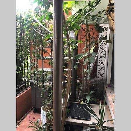 Amplia Habitacion Tipo Ejecutiva Con Bano Y Acceso Privados Toluca Luaran gambar
