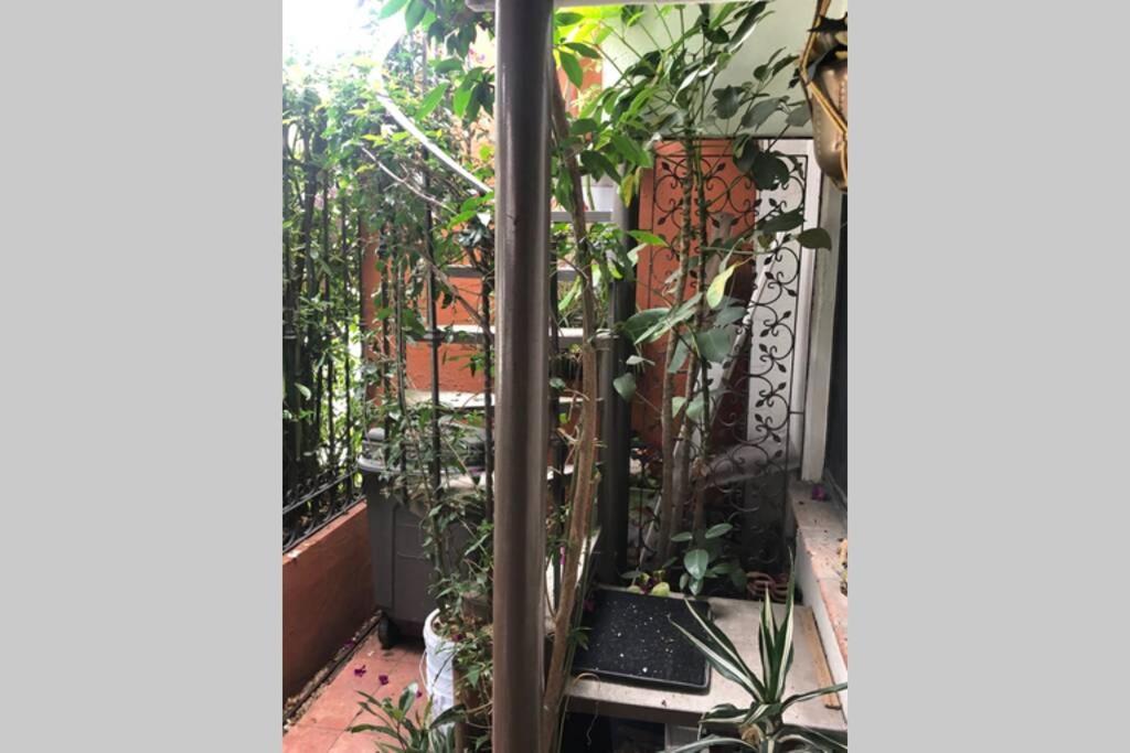 Amplia Habitacion Tipo Ejecutiva Con Bano Y Acceso Privados Toluca Luaran gambar