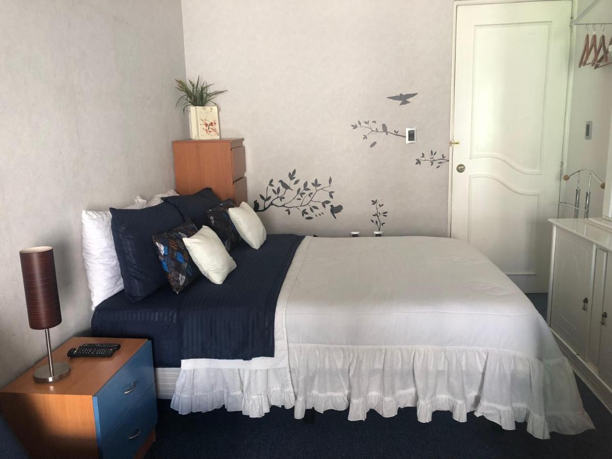 Amplia Habitacion Tipo Ejecutiva Con Bano Y Acceso Privados Toluca Luaran gambar